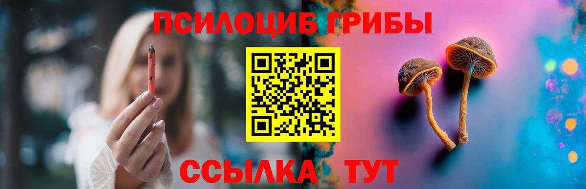 Трёхгорный  Галлюциногенные грибы Psilocybe  Псилоцибиновые грибы GOLDEN TEACHER  Вход с VPN 